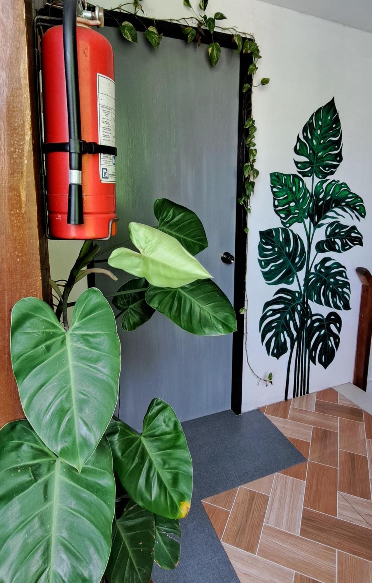 Bougainvillea Guesthouse San Juan  Eksteriør bilde